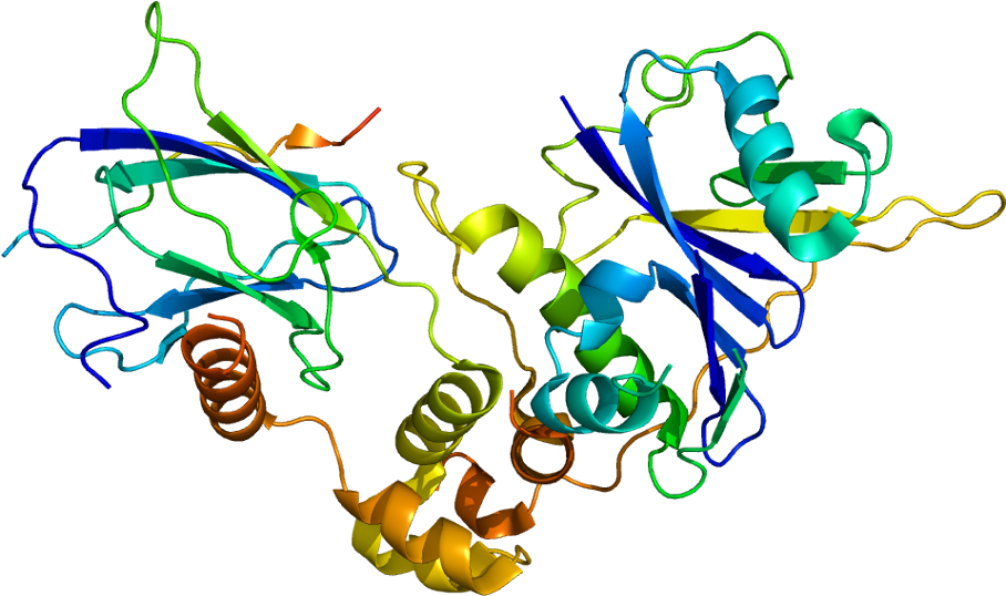 Von Hippel Lindau Gene Clipart (957x587), Png Download