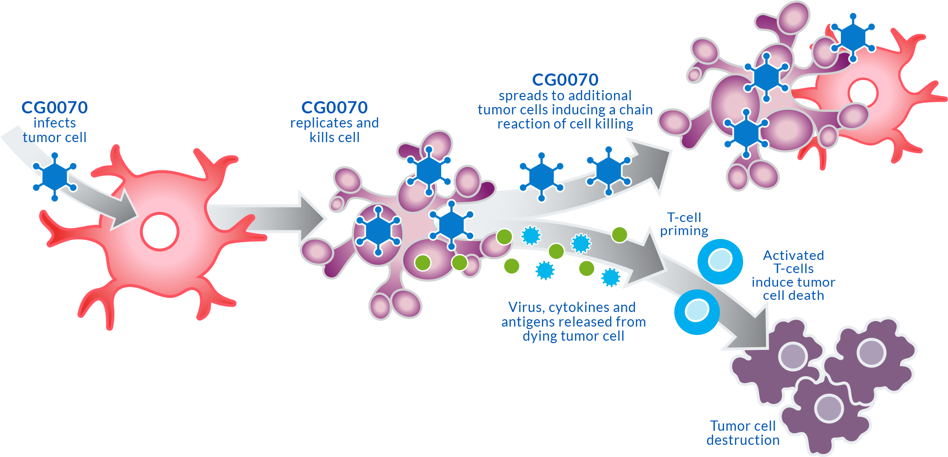 Oncolysis Clipart (2007x996), Png Download