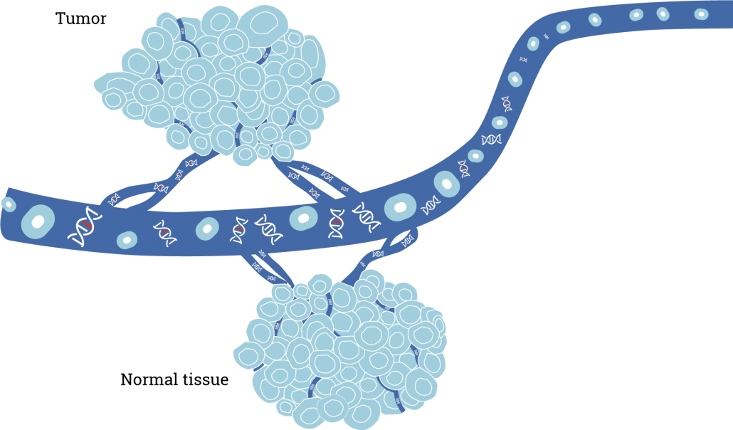 Summary - - Illustration Clipart (1030x604), Png Download