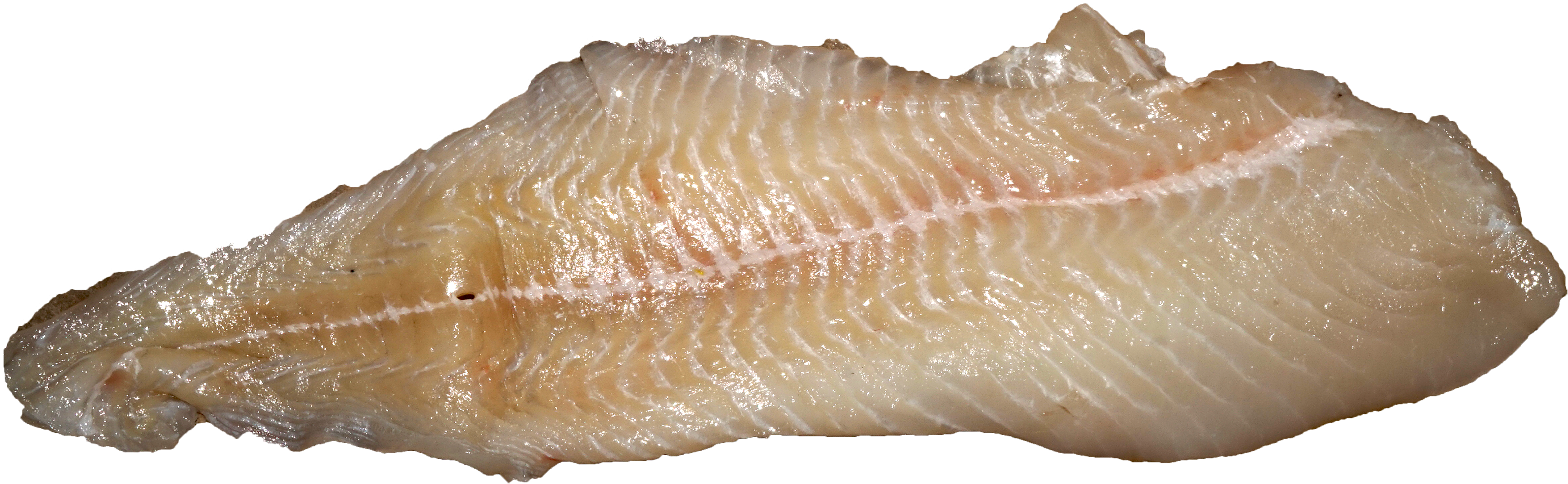 Pike Fillet - Anago Clipart (3535x1174), Png Download