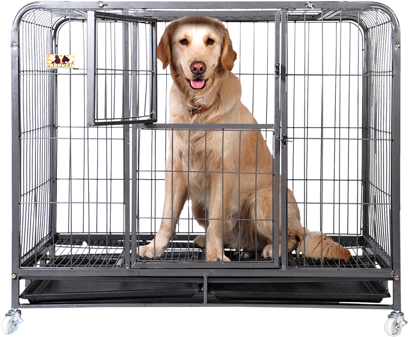 Huayuan Hoopet Square Tube Dog Cage Large Dog Jinmao - Labrador Retriever Clipart (800x660), Png Download