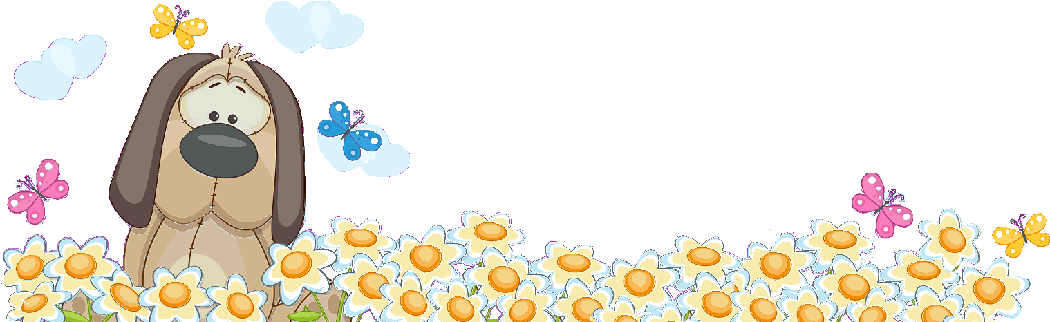 - Pet Supplies, Aquarium Filters, Bird Cages, Electronic - Circle Clipart (1555x508), Png Download