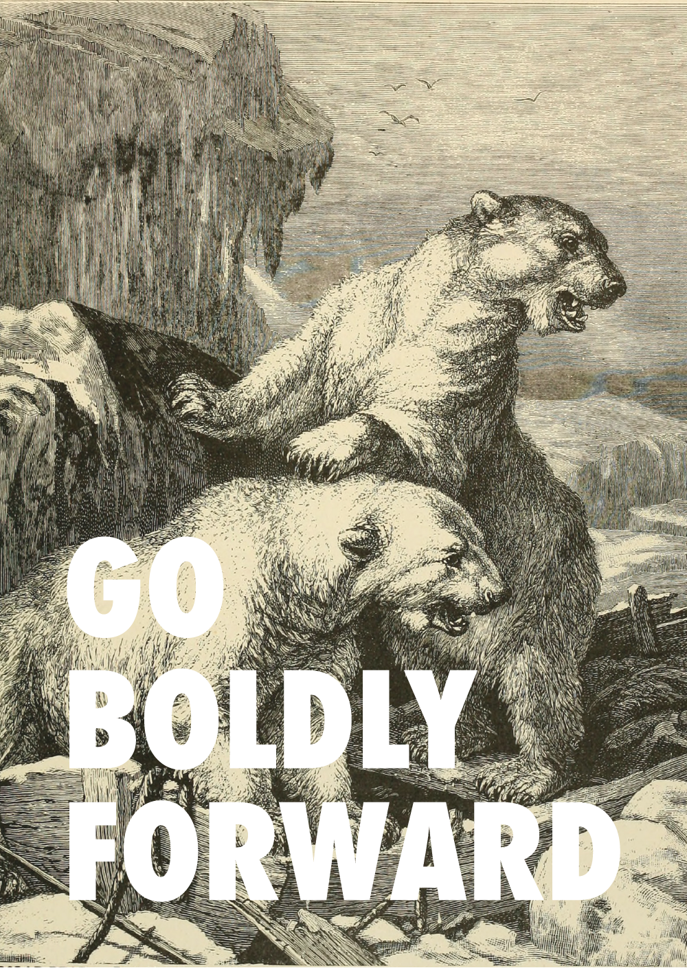 30 Mar 2018 - Punxsutawney Phil Clipart (1000x1408), Png Download