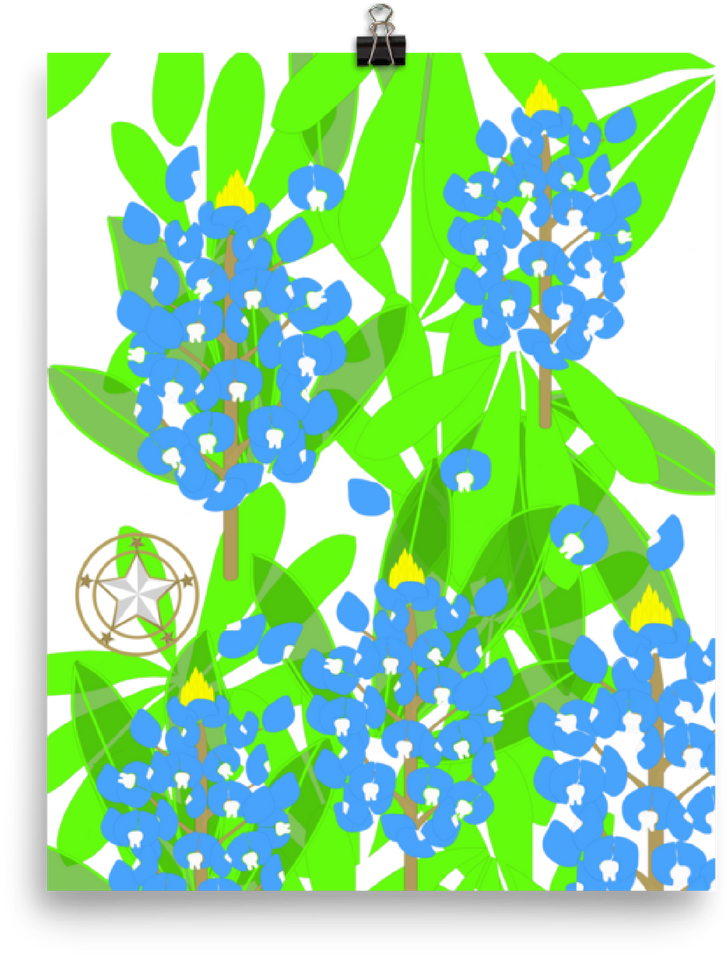 Flowers Clipart Bluebonnet - Illustration - Png Download (1000x1000), Png Download