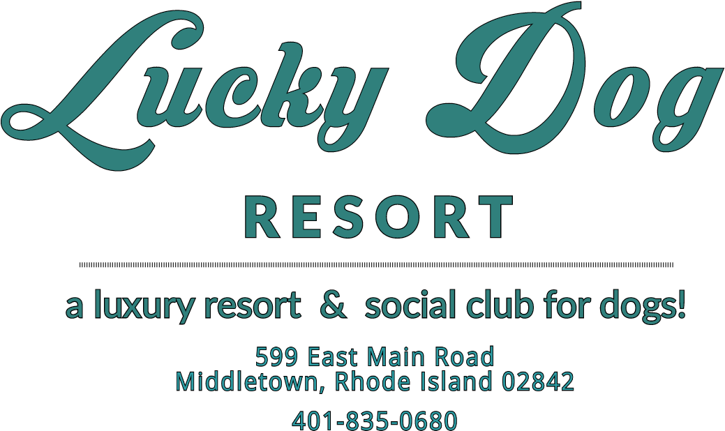 Lucky Dog Resort - Calligraphy Clipart (1104x702), Png Download