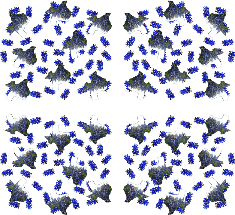 Papilio Machaon Clipart (800x742), Png Download