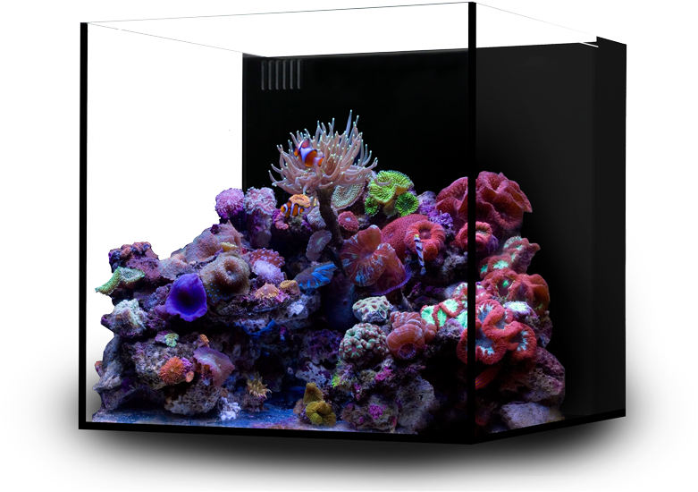 20 Gallon Ultra-clear Glass Cube - Waterbox Cube 20 Review Clipart (791x600), Png Download