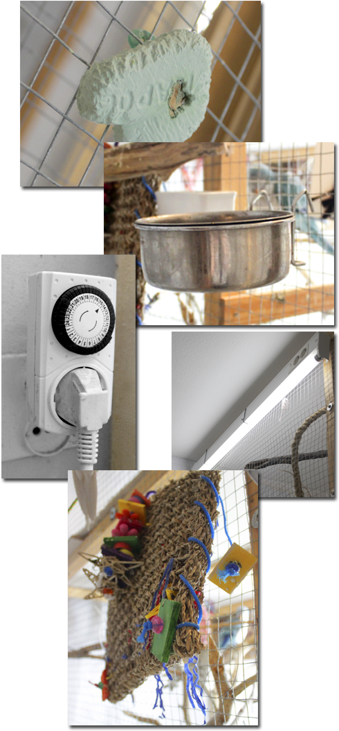 Ostoslista Neitokakadun Hankkiminen - Kitchen Clipart (520x1080), Png Download