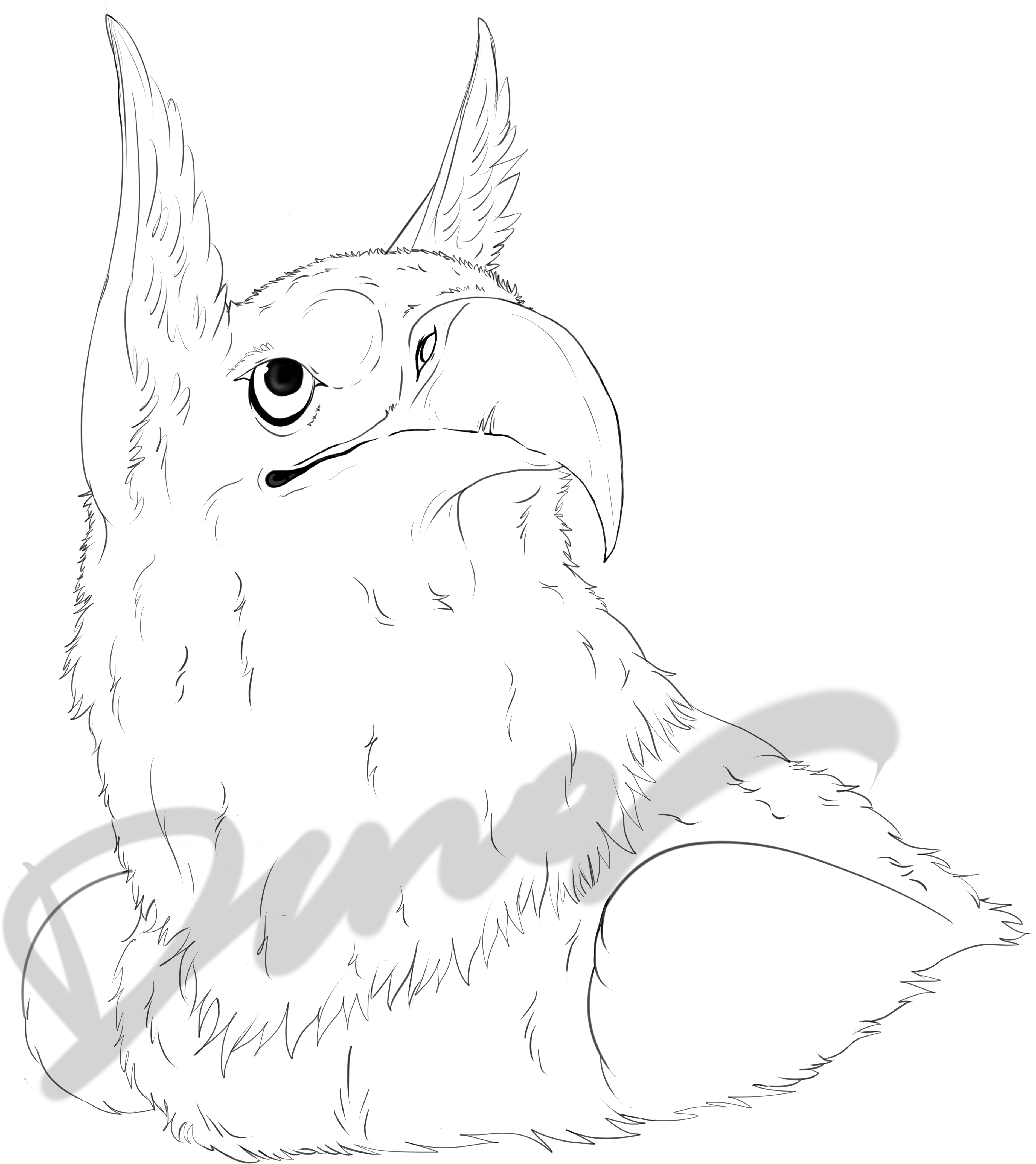 Cockatiel Drawing Line - Cartoon Clipart (3788x4256), Png Download