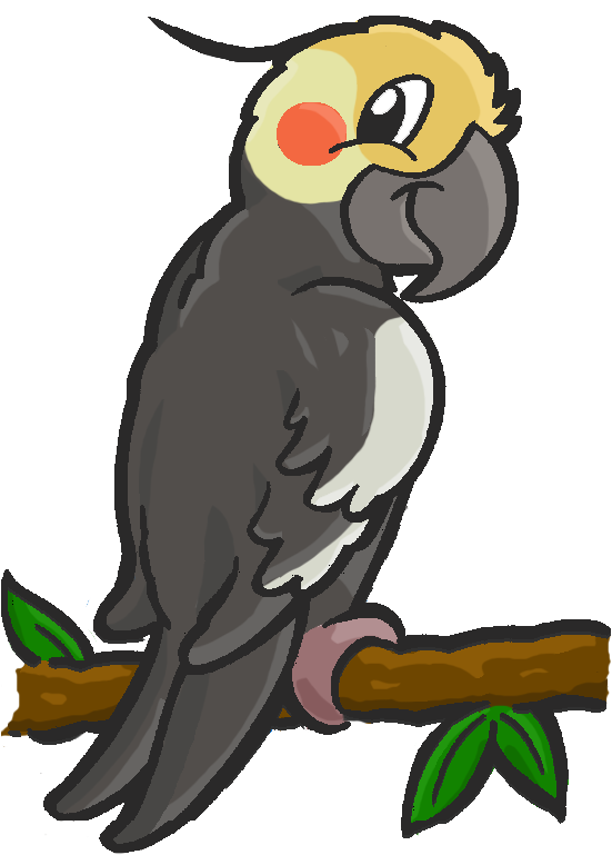 Collection Of Free Rolling Download On Ubisafe - Drawings Of Cartoon Cockatiels Clipart (560x781), Png Download