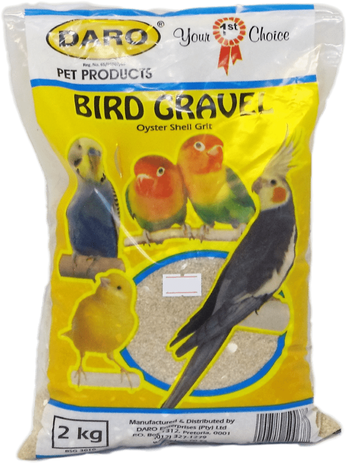 Bird-gravel - Cockatiel Clipart (1000x1000), Png Download