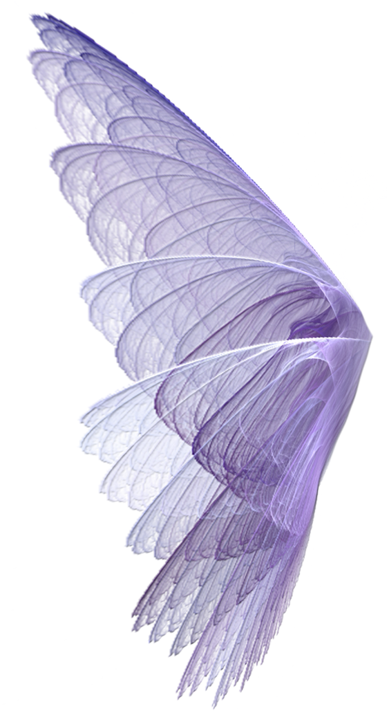 Wing Wingssticker Wings Perpel Bts Exo Ss501 Kard Hyuna - Transparent Background Fairy Wings Png Clipart (600x1079), Png Download