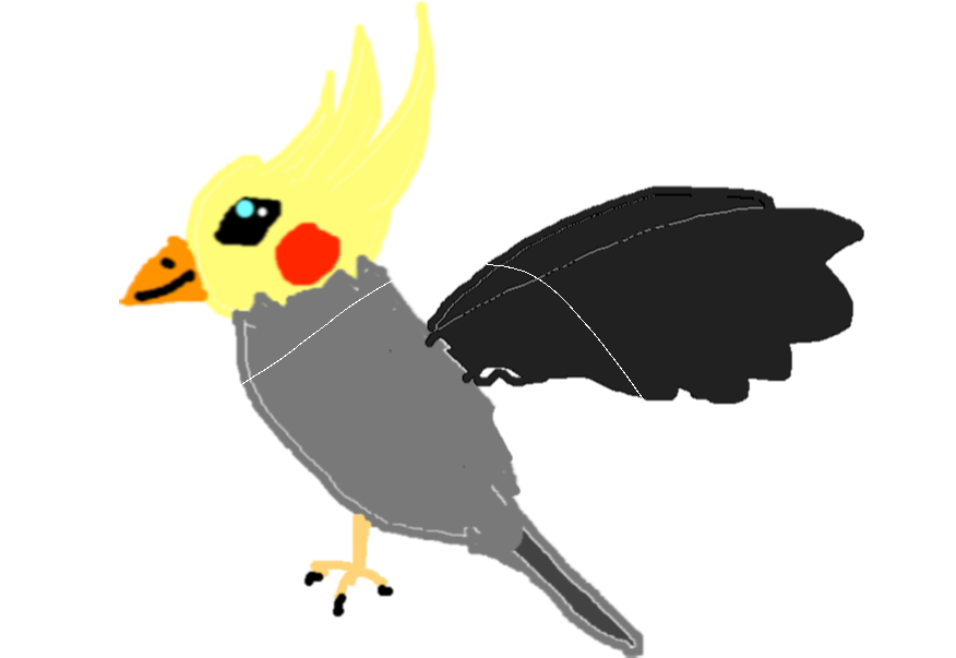 Drawing - Drawing Copy - Cockatiel Clipart (876x603), Png Download