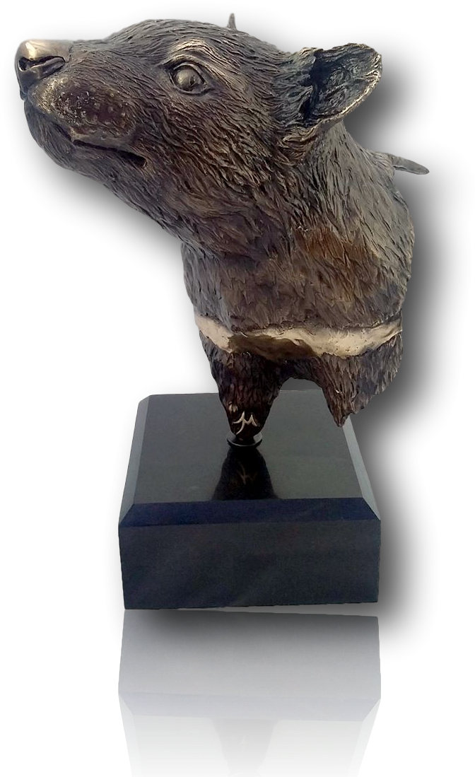 Life Sized Tasmanian Devil Bust - Bronze Sculpture Clipart (672x1115), Png Download