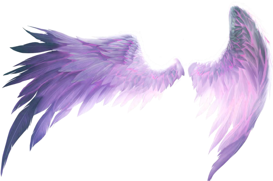 #ftestickers #wings #purple - Pink Angel Wings Png Clipart (1024x1024), Png Download
