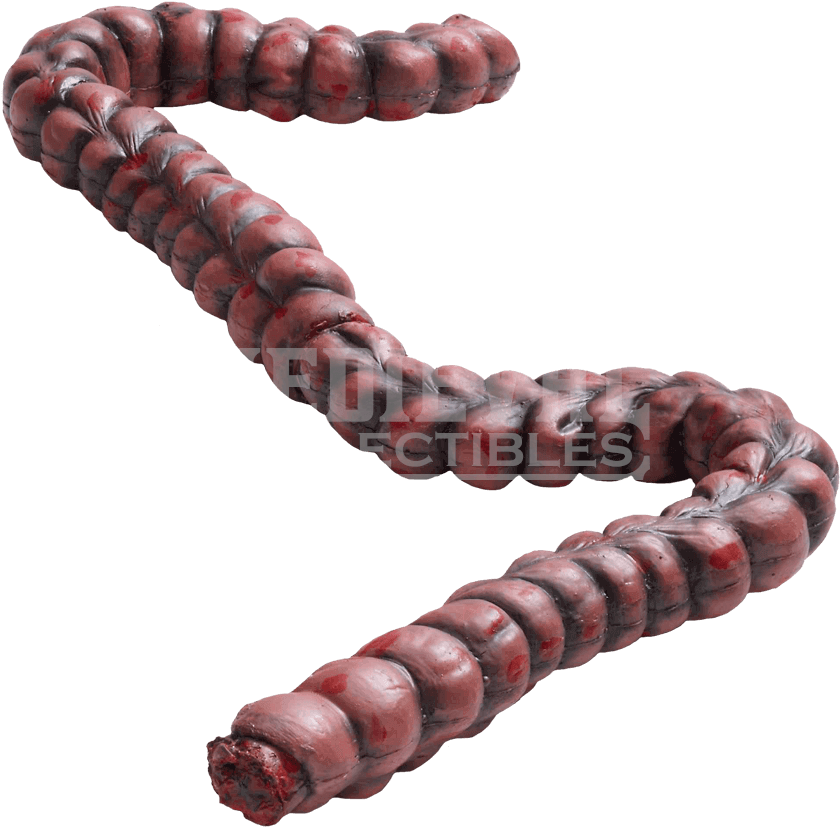 Bloody Zombie Fm By - Plastic Intestines Clipart (856x856), Png Download