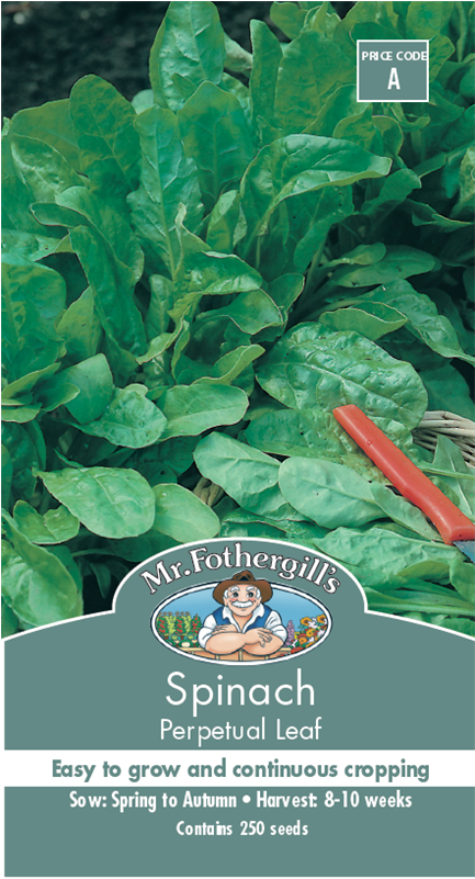 Mr Fothergill's Spinach Perpetual Leaf Seeds - Spinach Clipart (800x800), Png Download