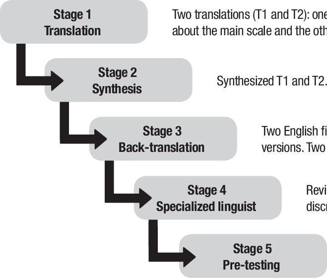 Graphic Representing Stages Of The Cross-cultural Adaptation - Stages Of Cross Cultural Adaptation Clipart (659x560), Png Download
