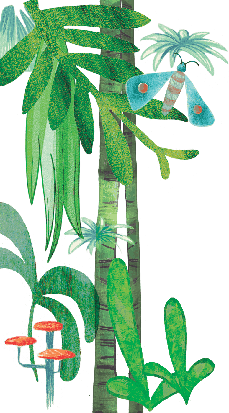 Amy Mcsimpson Is A Freelance Illustrator And Graphic Clipart (776x1400), Png Download