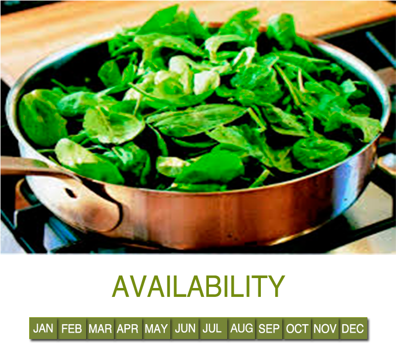 Spinach Clipart (800x820), Png Download