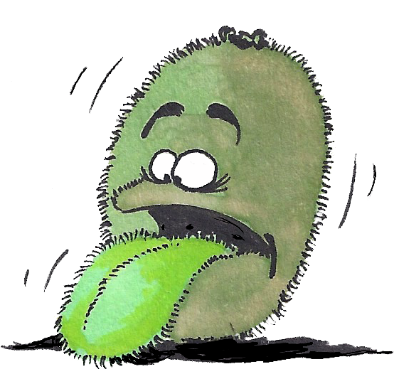 Danny Zemp Danny Zemp - Cartoon Clipart (587x574), Png Download