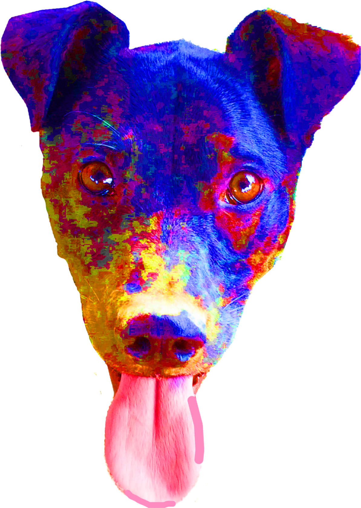 The Image On The Left Is Awesome, But I Didn't Like - Miniature Pinscher Clipart (1200x1684), Png Download