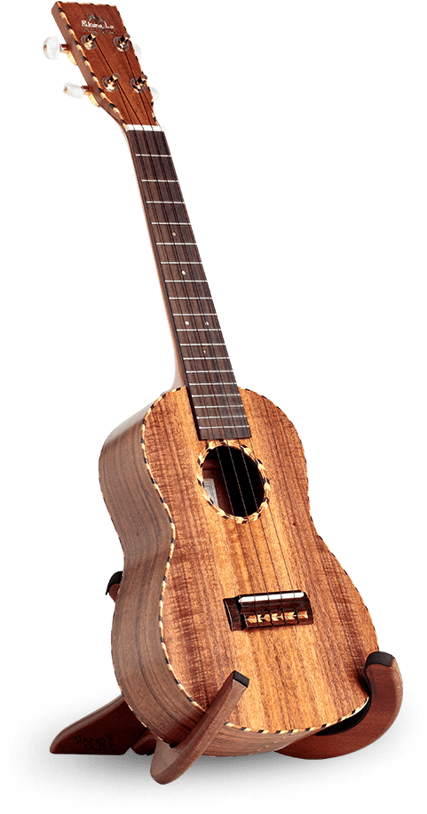 Acoustic Guitar Clipart (600x1072), Png Download