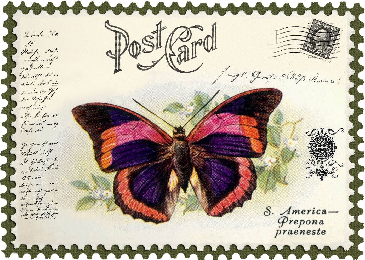 Juno Ccrl Your King Is Comingjuno Vintage Butterfly - Tasbeeh E Fatima Zahra Clipart (1458x1036), Png Download