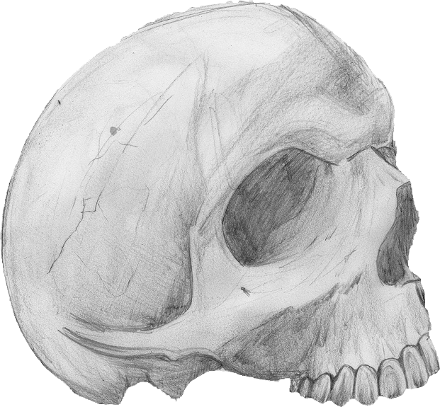 Totenkopf - Skull Clipart (621x575), Png Download