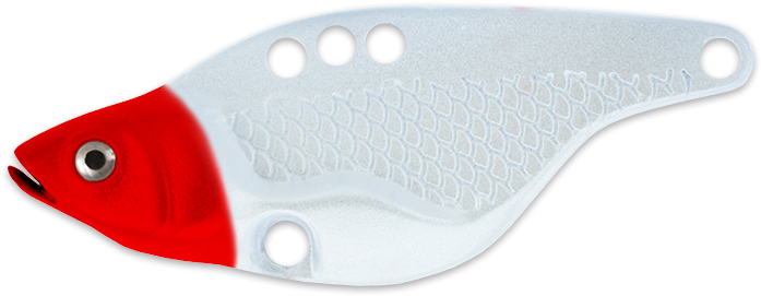 Red Head White - Ray-finned Fish Clipart (768x480), Png Download