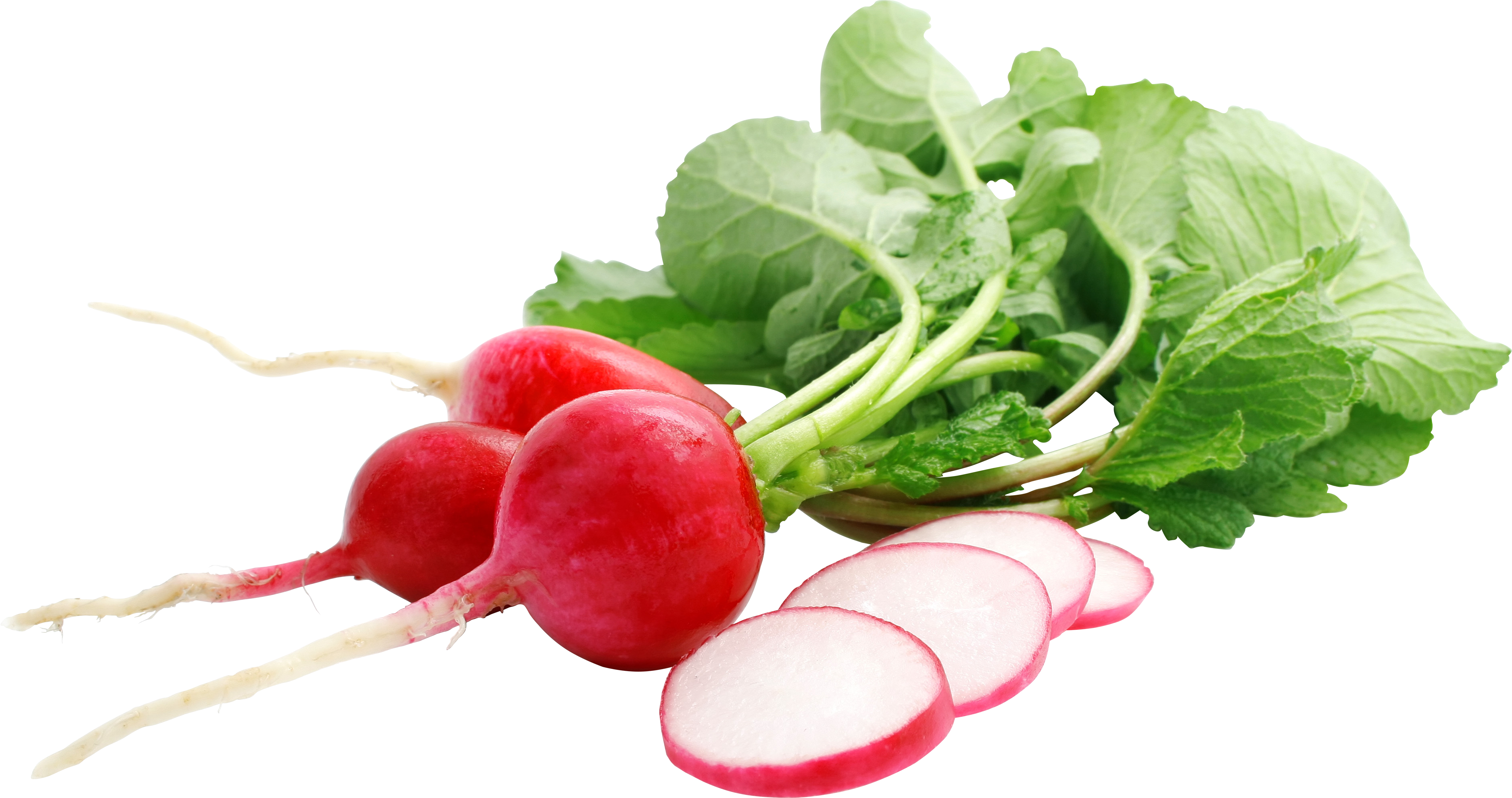 Radish Png - Raphanus Sativus Png Clipart (4335x2290), Png Download