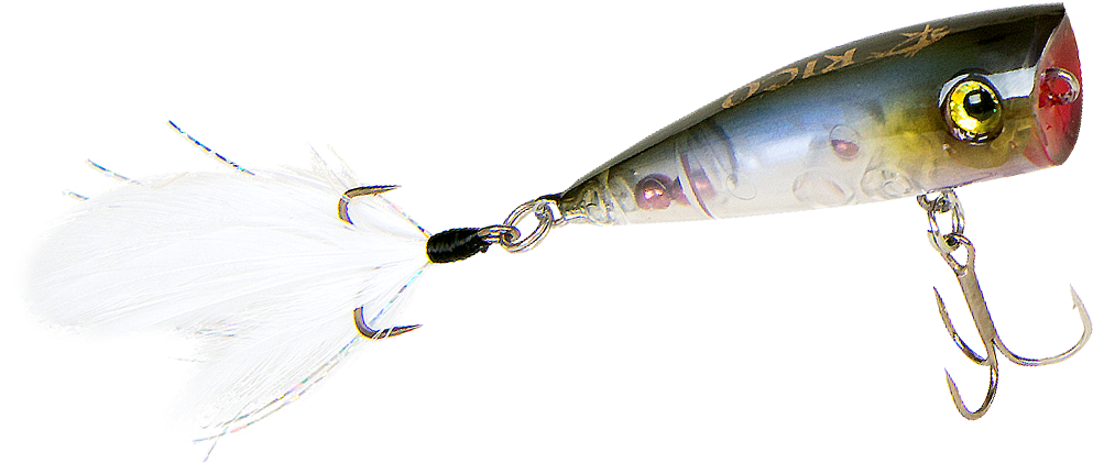 The Secrets Of Professional Bass Anglers - Bait Fish Clipart (1112x480), Png Download
