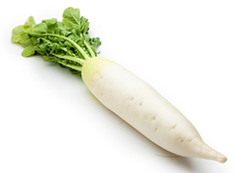 One Radish Clipart (800x800), Png Download