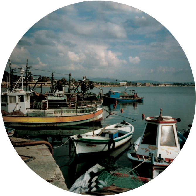 Boat Scene - Harbor Clipart (800x800), Png Download