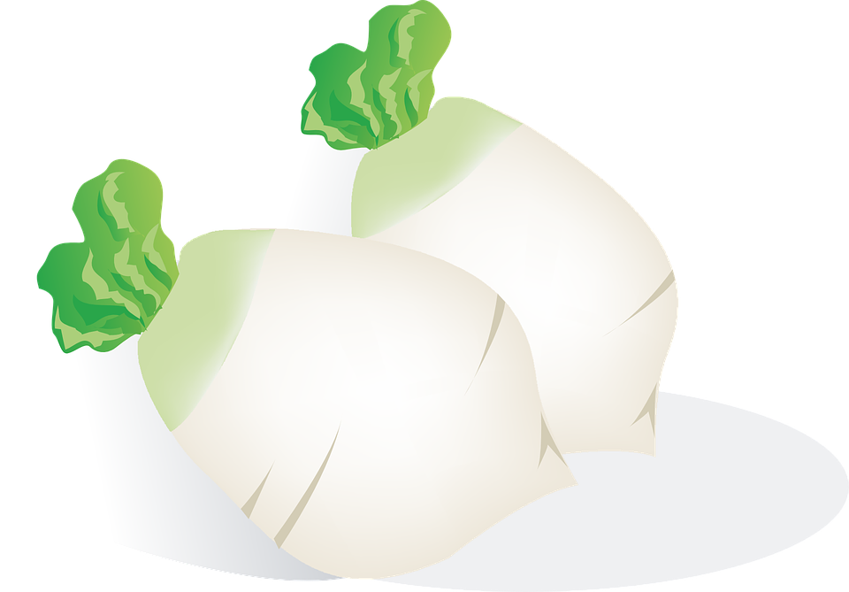 Radish, Vegetables, Food, Eat, Plant, Healthy - รูป หัว ไช เท้า การ์ตูน Clipart (960x669), Png Download