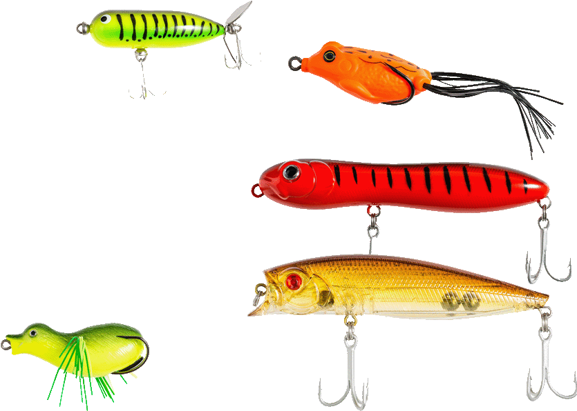 Invertebrate Clipart (970x618), Png Download