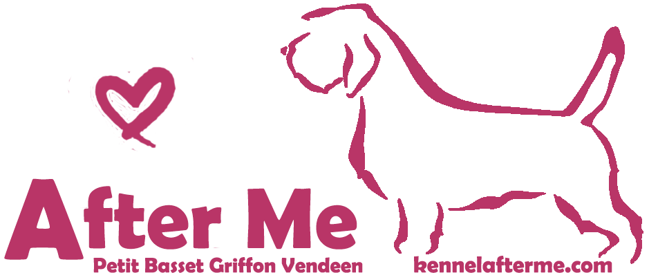 Petit Basset Griffon Vendeen - Graphic Design Clipart (947x394), Png Download