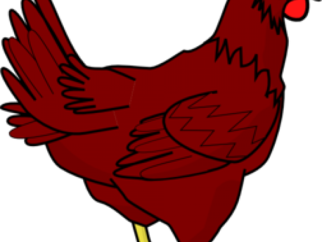 Transparent Background Hen Clipart - Png Download (640x480), Png Download