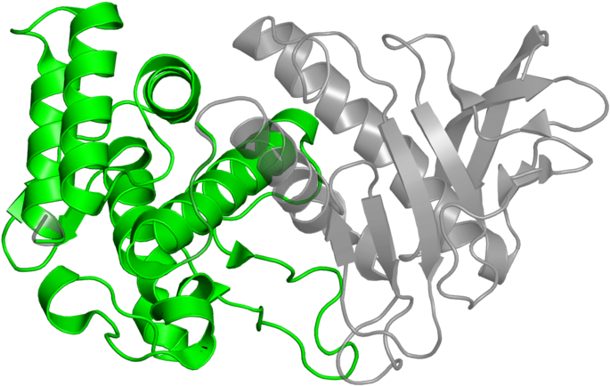 Illustration Clipart (800x800), Png Download