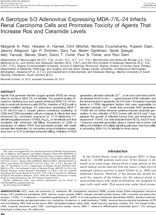 A Serotype 5/3 Adenovirus Expressing Mda 7/il 24 Infects - Folio Eighteen From Burchard Of Sion's De Locis Ac Clipart (585x783), Png Download