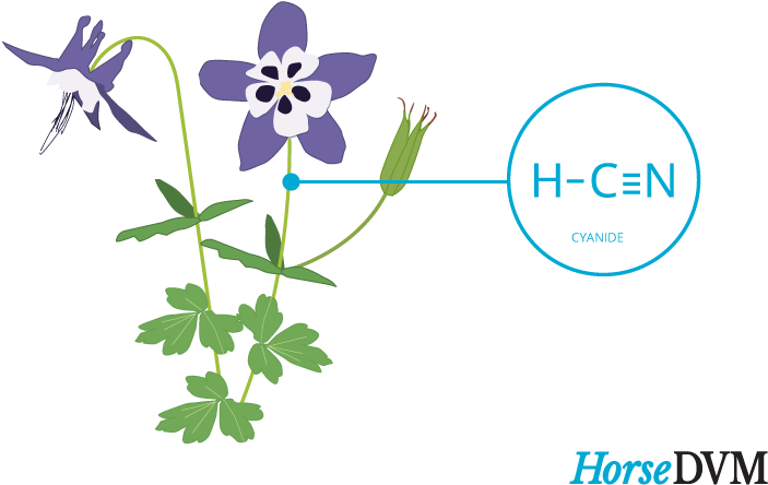 Columbine Toxic Components Clipart (767x533), Png Download