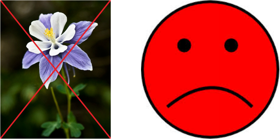 Columbine Flowers - Columbine Flower Colorado Clipart (933x463), Png Download