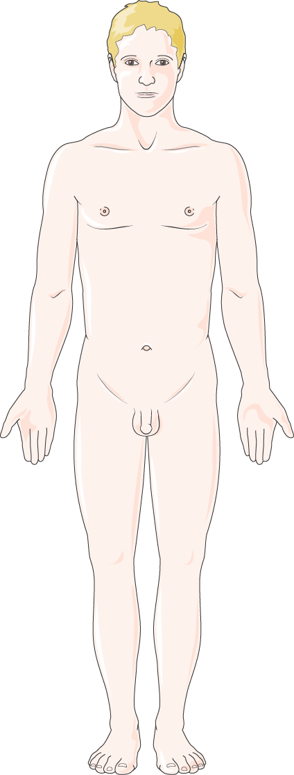 Homme - Wetsuit Clipart (424x1115), Png Download