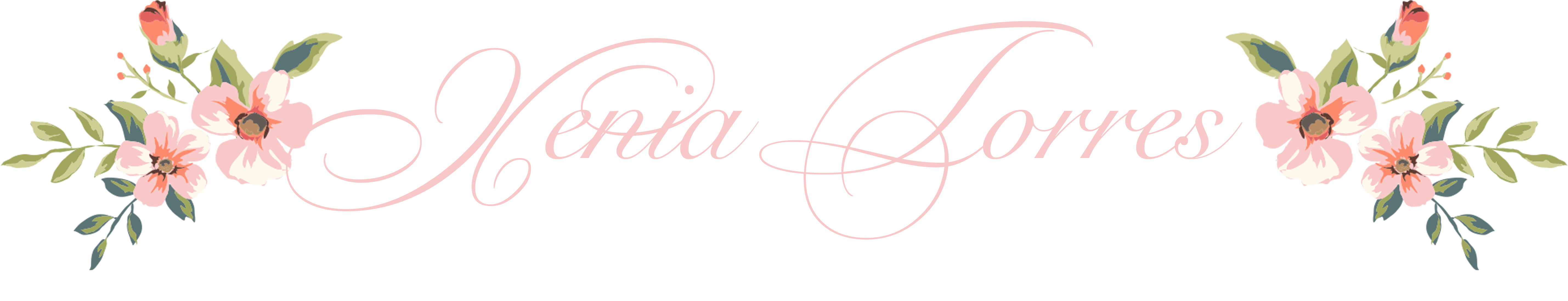 Calligraphy Clipart (6000x1520), Png Download