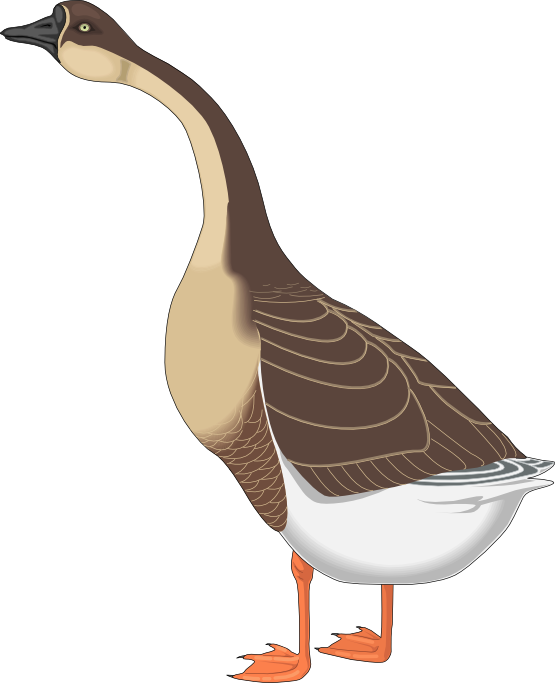Free To Use & Public Domain Goose Clip Art - Goose Clipart Png Transparent Png (555x683), Png Download