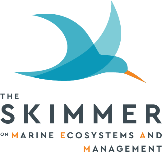 The Skimmer On Marine Ecosystems And Management - Graphic Design Clipart (625x625), Png Download