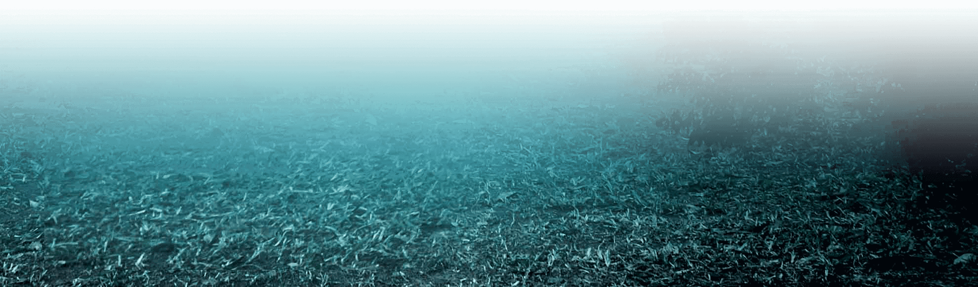 Underwater Clipart (1980x582), Png Download