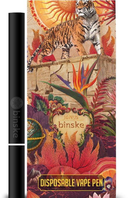 Disposable Vape Pens - All Binske Pate Png Clipart (506x675), Png Download