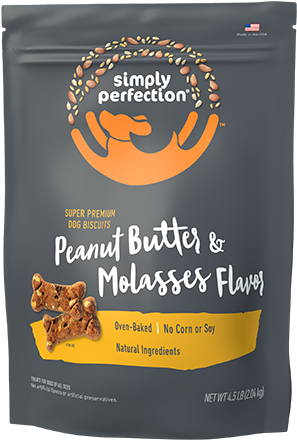 African Grey Clipart (800x533), Png Download