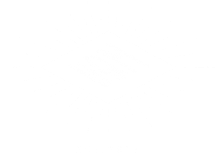 Johns Hopkins Logo White Clipart (1500x1500), Png Download